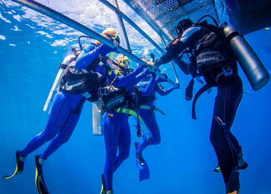 Cairns: Best Value All-inclusive Reef Trip With Scuba Dive - Who This Tour Fits Best, and Who Should Think Twice