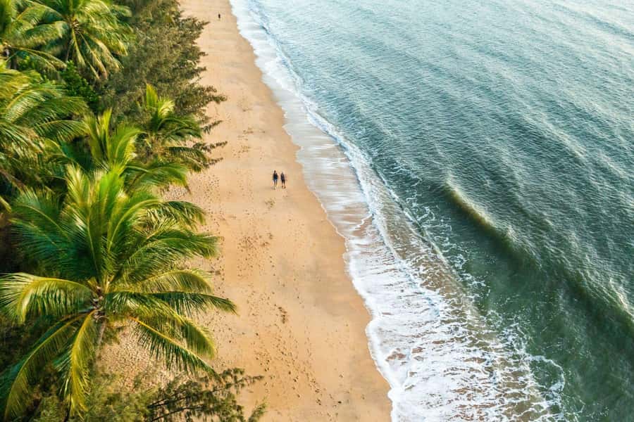 Cairns: Cairns City Sights & Surrounds Half Day Tour - Who this tour suits best, and who should think twice