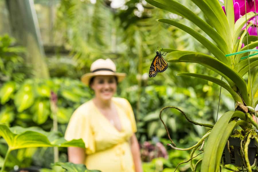 Cairns: Cairns City Sights & Surrounds Half Day Tour - Cairns Museum with real stories behind the region