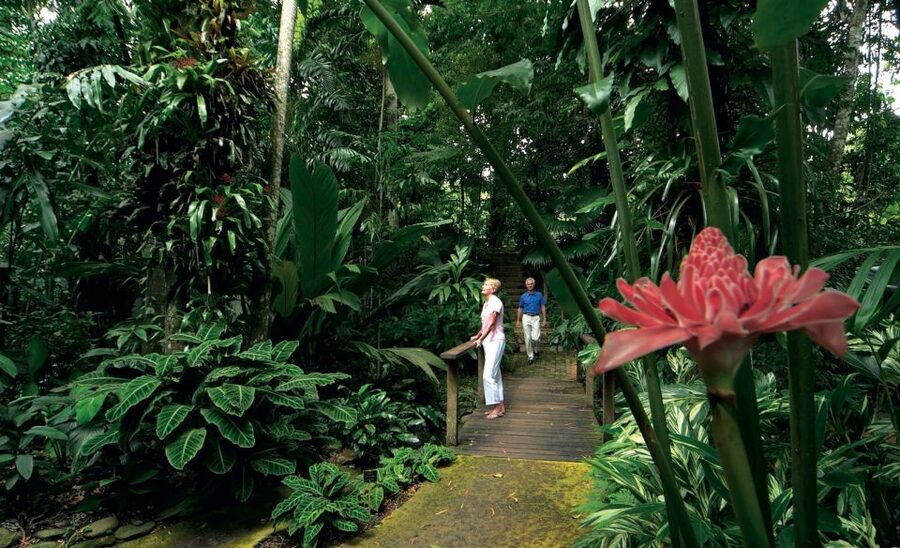 Cairns: Cairns City Sights & Surrounds Half Day Tour - Edge Hill Devonshire tea: a break that actually refreshes you
