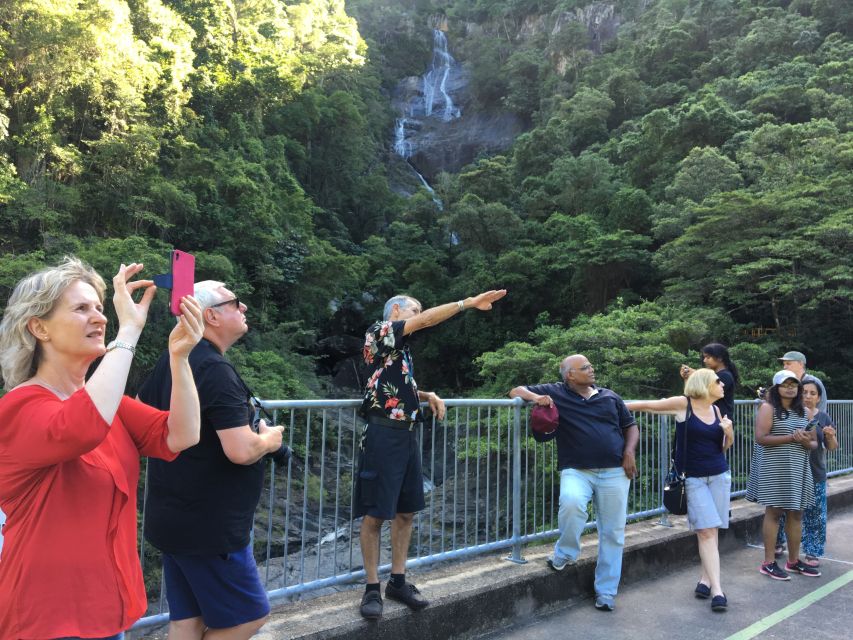 Cairns: Cairns City Sights & Surrounds Half Day Tour - Price and value: what your $72 includes and why it adds up
