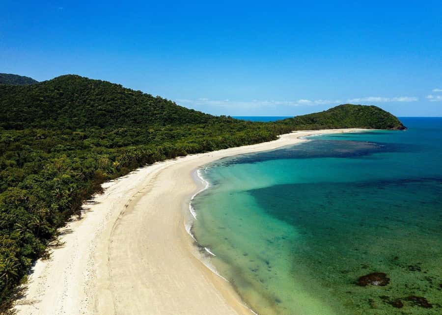 Cairns: Cape Tribulation, Beaches, Crocs & Swimming Day Tour - Key points to know before you go