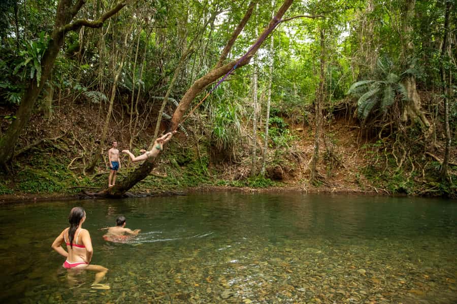 Cairns: Cape Tribulation, Beaches, Crocs & Swimming Day Tour - How the Cape Tribulation day trip feels from Cairns