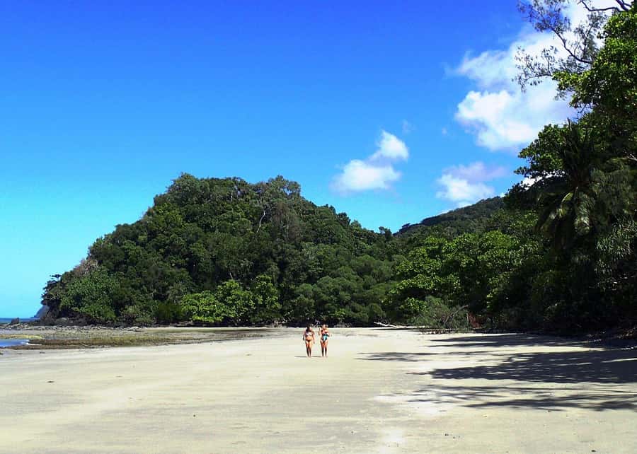 Cairns: Cape Tribulation, Beaches, Crocs & Swimming Day Tour - Ferry crossing and crocodile cruise on the Daintree River