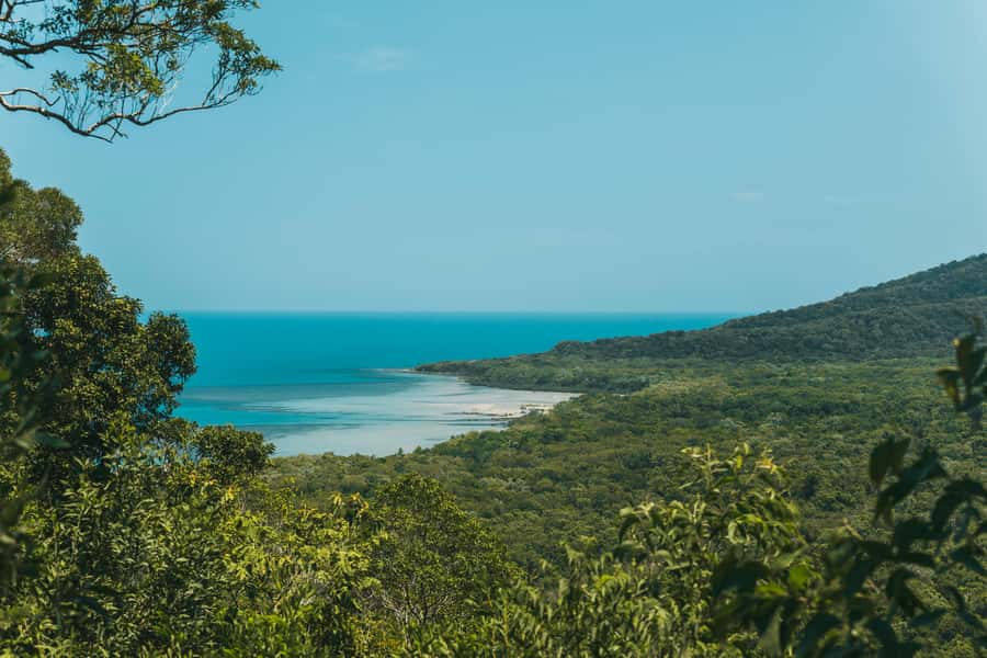 Cairns: Cape Tribulation, Daintree, Mossman and Port Douglas - Key highlights at a glance