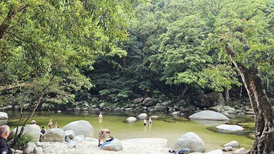 Cairns: Cape Tribulation, Daintree, Mossman and Port Douglas - Lunch, comfort on a Mercedes Sprinter, and bathroom rhythm