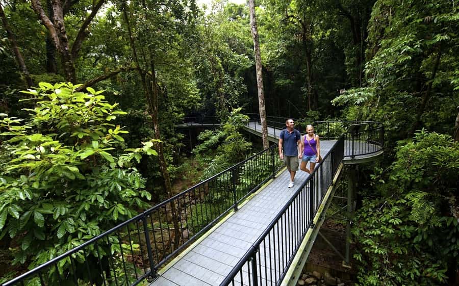 Cairns: Daintree, Mossman Gorge, & Cape Tribulation Day Trip - Key things to know before you go