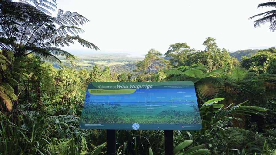 Cairns: Daintree, Mossman Gorge, & Cape Tribulation Day Trip - Why This 12-Hour Daintree Circuit Works So Well