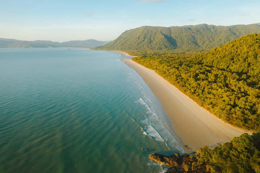Cairns: Daintree, Mossman Gorge, & Cape Tribulation Day Trip - Morning Coastal Views, Rex Lookout, and the First Big Wow