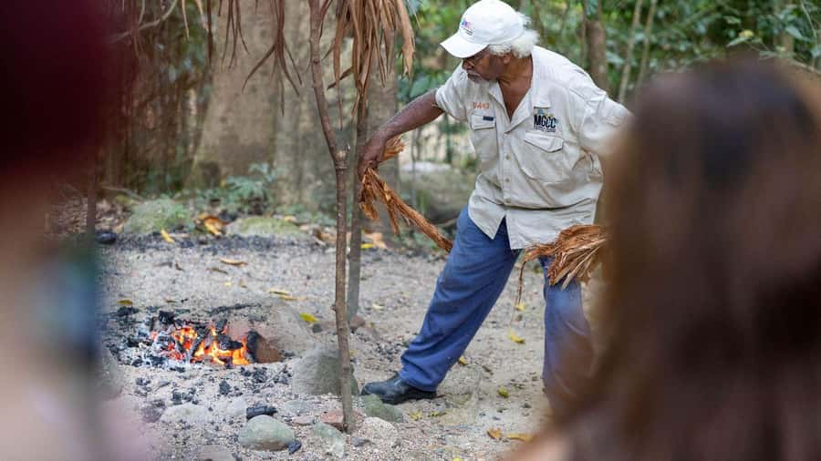 Cairns: Daintree Rainforest and Mossman Gorge Tour - Mossman Gorge: Swimming, Rainforest Walk, and a Ceremony You Can’t Fake