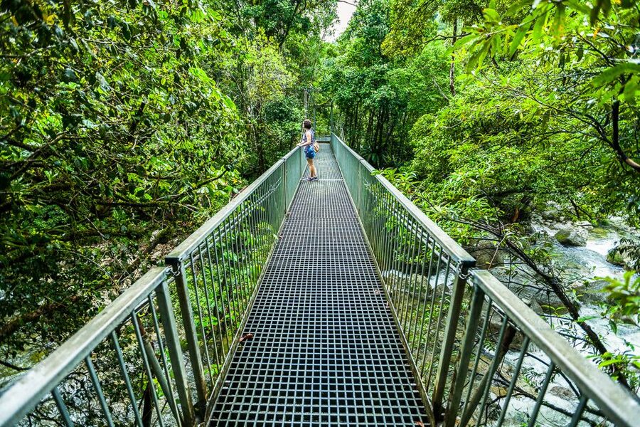 Cairns: Daintree Rainforest and Mossman Gorge Tour - The Ferry Crossing and Short Stops: Efficient, Not Slow
