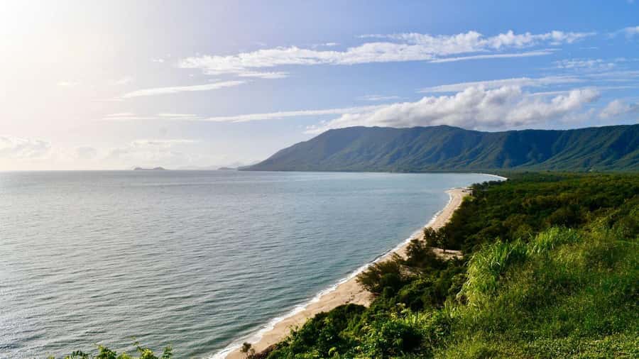 Cairns: Daintree Rainforest and Mossman Gorge Tour - Value at $145: Why It Can Be a Smart Deal