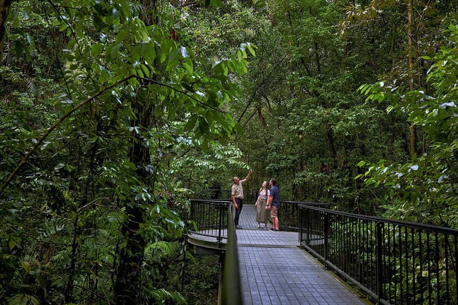 Cairns: Daintree Rainforest & Cape Tribulation Day Trip - Time, pace, and who this day trip suits best
