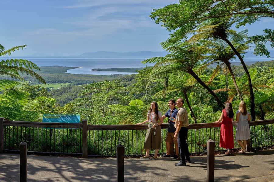 Cairns: Daintree Rainforest & Cape Tribulation Day Trip - Daintree River Cruise for crocs, birds, and river life