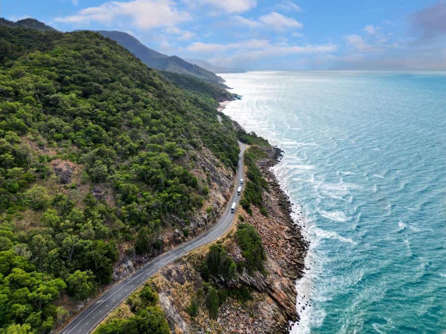 Cairns: Daintree Rainforest & Cape Tribulation Day Trip - Price and value: what $207 buys you in the real world