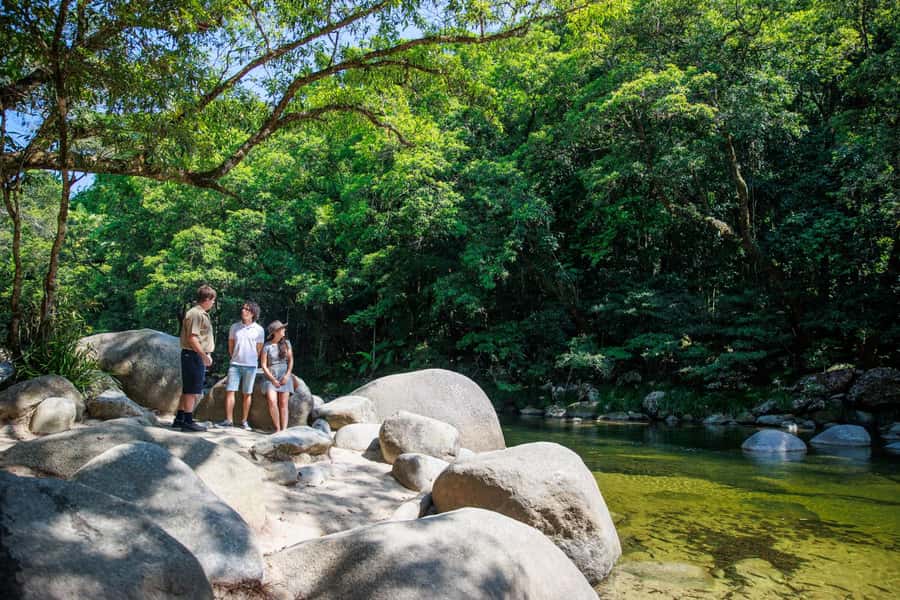 Cairns: Daintree Rainforest & Cape Tribulation Day Trip - Cairns pickup and the comfort-first coach ride north