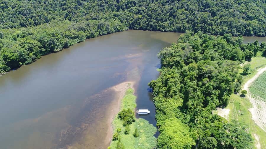 Cairns: Daintree Rainforest Wildlife Experience Cruise - Why the Daintree’s 180 million years changes how you see the rainforest