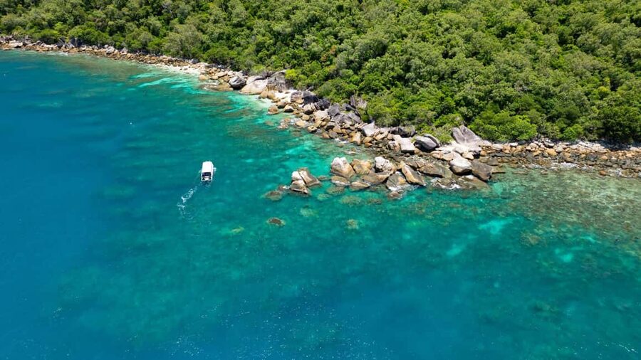 Cairns: Fitzroy Island Ferry, optional lunch, tours, snorkel - Key Highlights Worth Planning Around