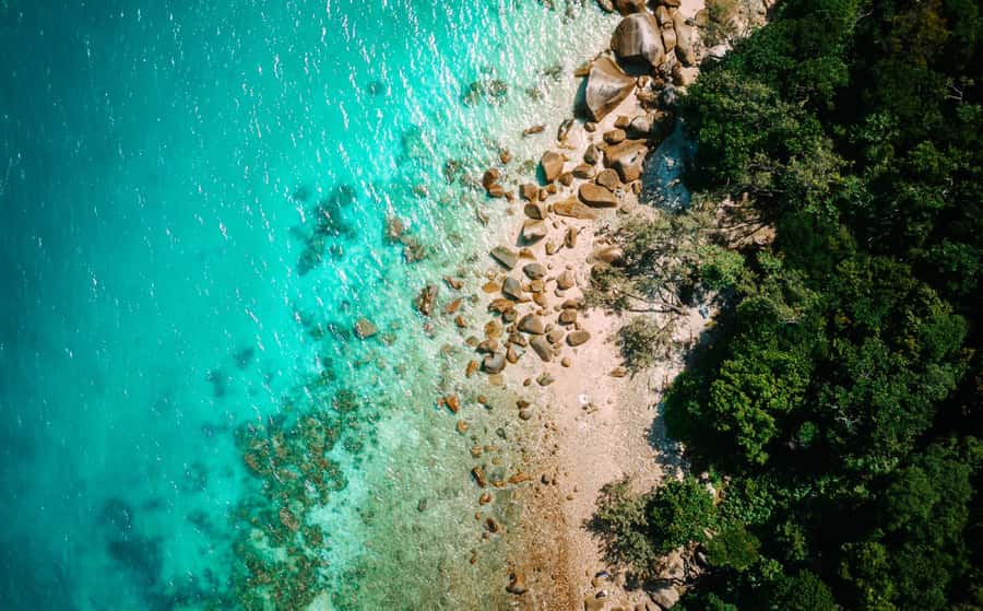 Cairns: Fitzroy Island Ferry w/ Snorkel, Lunch, Tour Options - Snorkelling Off the Beach: Turtles, Fish, and How to Make It Easy