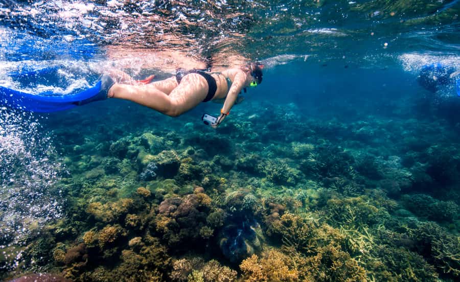 Cairns: Frankland Islands Great Barrier Reef Tour - Beach lunch and snacks: the fuel that makes a long day pleasant