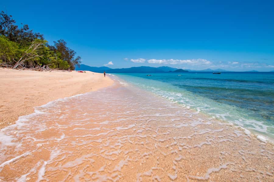 Cairns: Frankland Islands Great Barrier Reef Tour - Kids, families, and a reef day that teaches