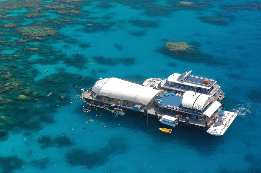 Cairns: Full Day Great Barrier Reef Pontoon Experience - Cairns Reef Fleet Terminal to the Outer Reef, how the day actually flows