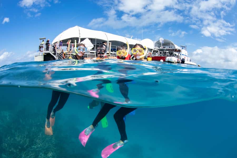Cairns: Full Day Great Barrier Reef Pontoon Experience - The semi-submarine reef discovery, dry views for non-swimmers
