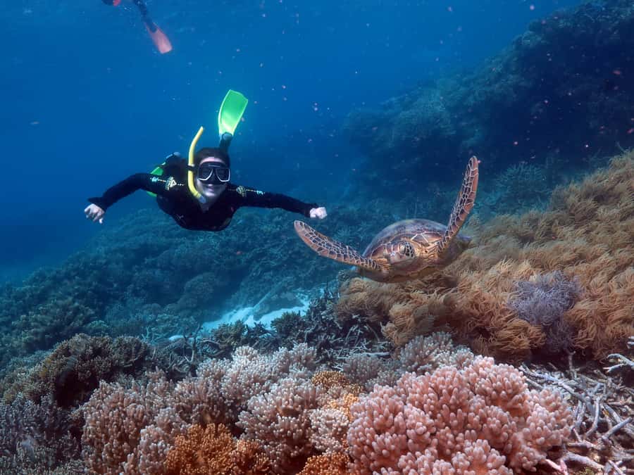 Cairns: Full Day Great Barrier Reef Pontoon Experience - Outer Reef platform time: where the reef day comes alive