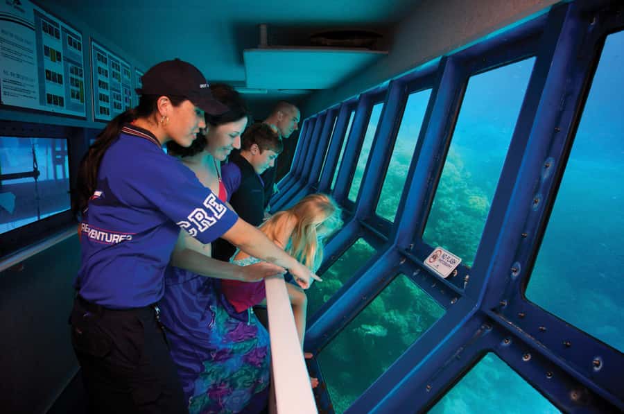 Cairns: Full Day Great Barrier Reef Pontoon Experience - Buffet lunch with panoramic views, the best energy reset