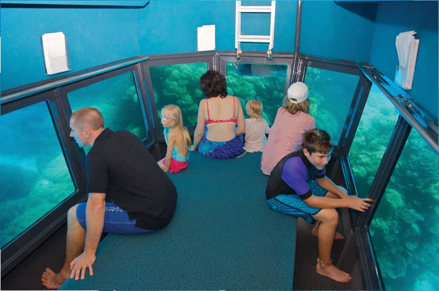 Cairns: Full Day Great Barrier Reef Pontoon Experience - Weather, seasickness, and how the crew keeps the day on track