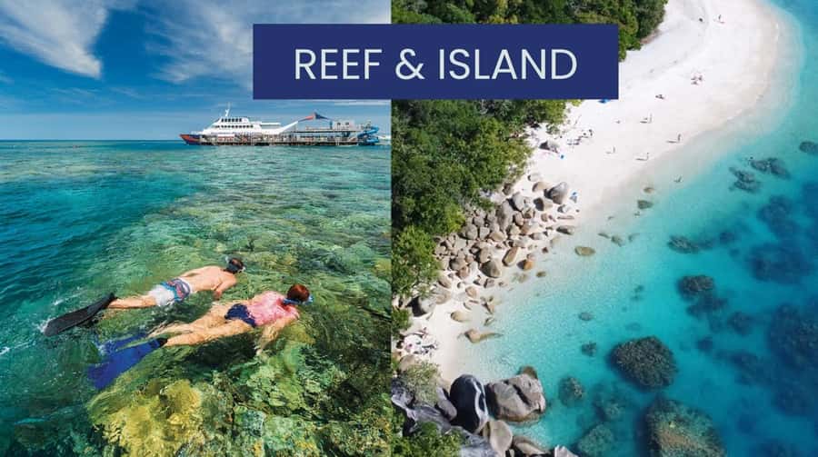 Cairns: Great Barrier Reef and Fitzroy Island Boat Tour - Key highlights to look for