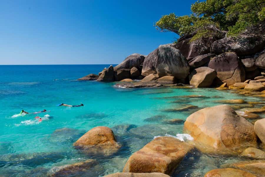 Cairns: Great Barrier Reef and Fitzroy Island Boat Tour - The reef briefing style: marine naturalists and first-timer confidence