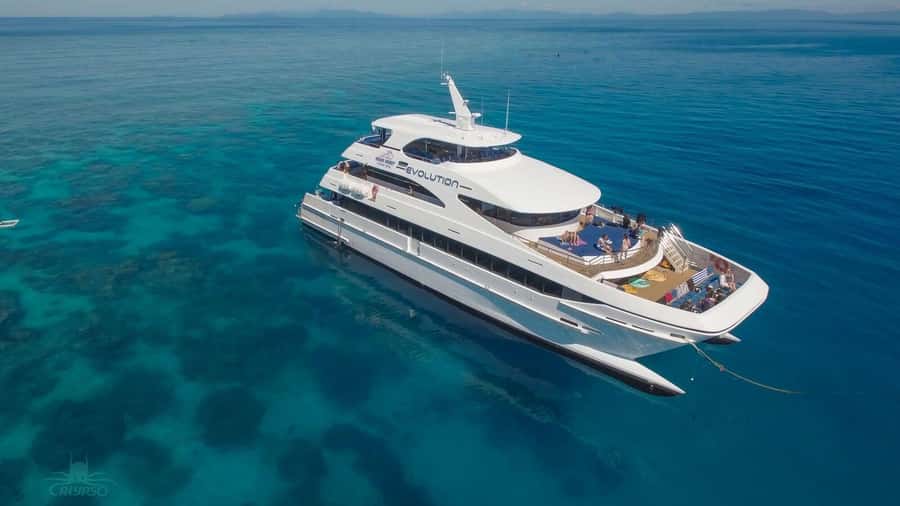 Cairns: Great Barrier Reef Cruise & Scenic Helicopter Flight - Lunch Onboard: BBQ That Actually Feels Like a Meal