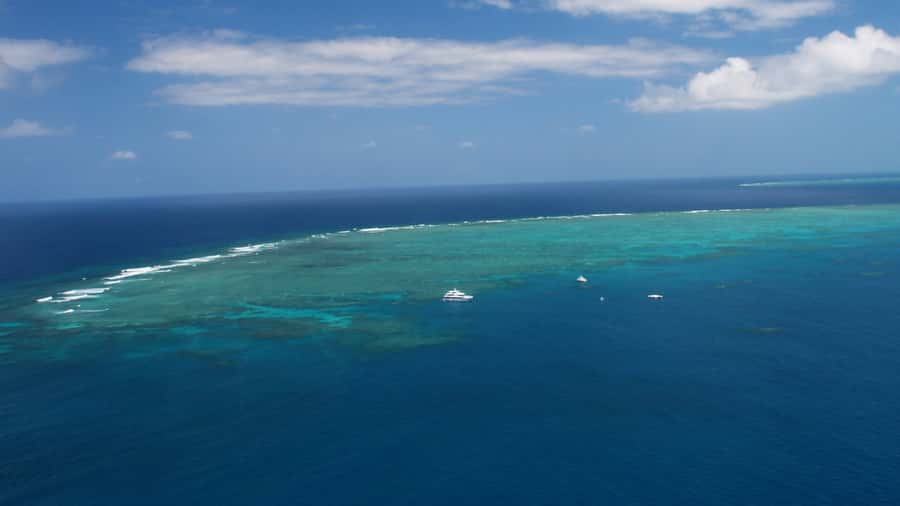 Cairns: Great Barrier Reef Cruise & Scenic Helicopter Flight - How the Crew Keeps Reef Time Safe (Without Killing the Fun)