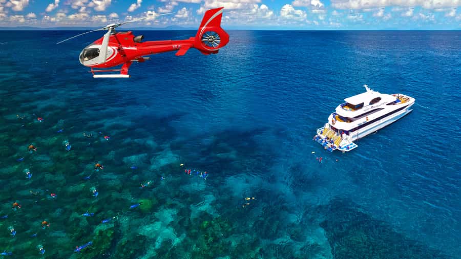 Cairns: Great Barrier Reef Cruise & Scenic Helicopter Flight - What to Pack for a Reef Day That Starts Early