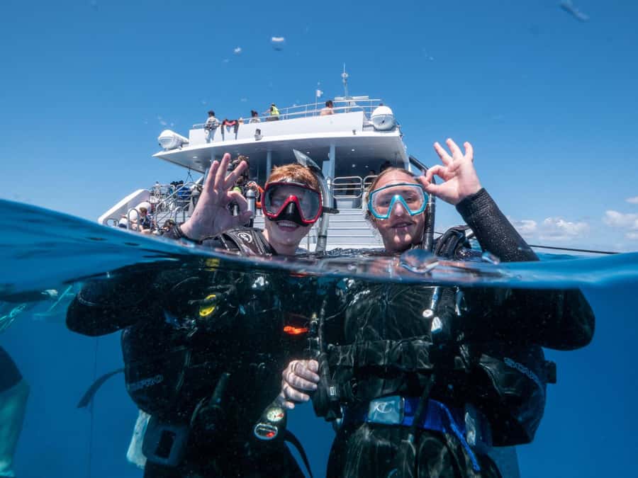 Cairns: Great Barrier Reef Full-Day Tour - What to Bring (and What to Skip)