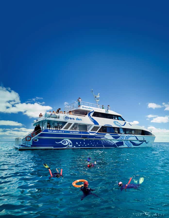 Cairns: Great Barrier Reef Full-Day Tour - Outer Reef Snorkeling With Two Stops, Not One