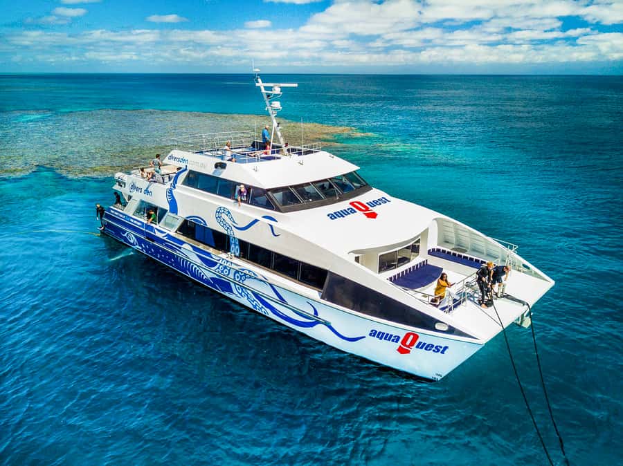 Cairns: Great Barrier Reef Full-Day Tour - The 90-Minute Ride Out: Choppy Water and How to Handle It