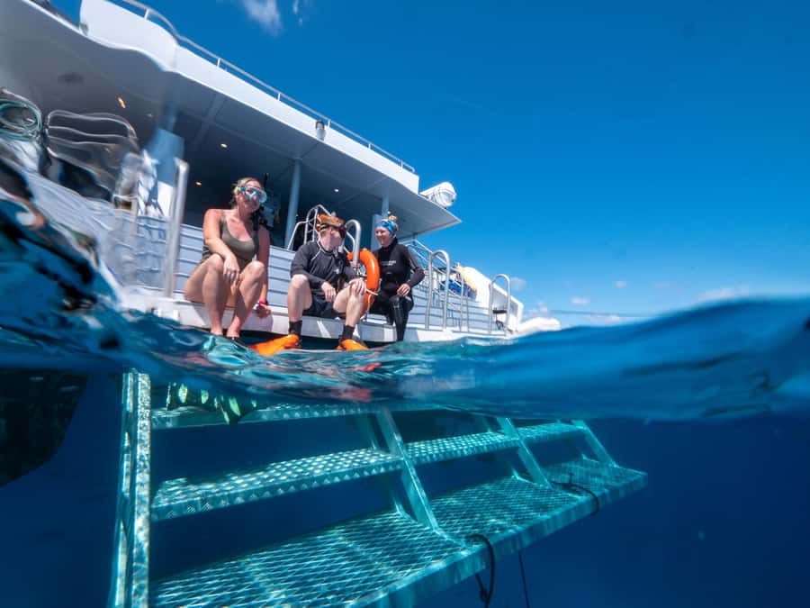 Cairns: Great Barrier Reef Full-Day Tour - Guided Snorkeling and Reef Rules You Should Know