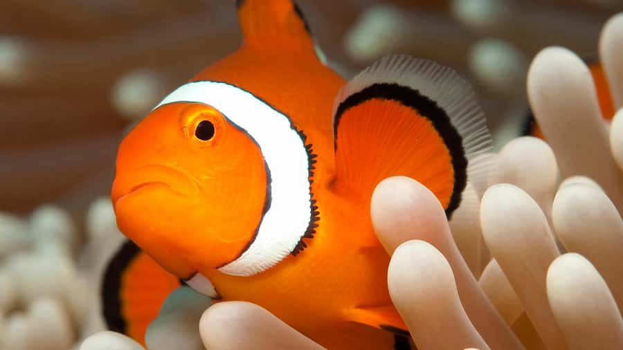 Cairns: Great Barrier Reef Full-Day Tour - Food, Hot Showers, and Getting Your Energy Back