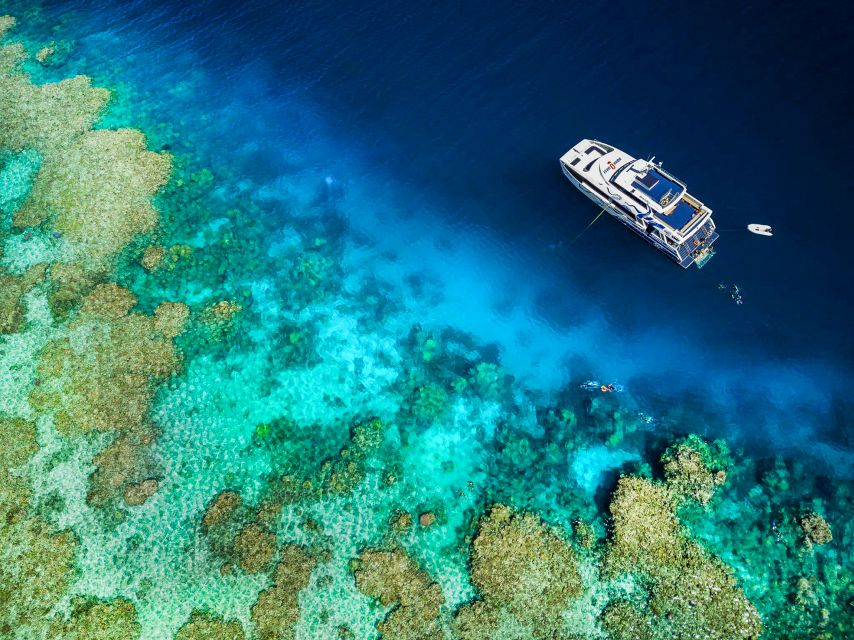 Cairns: Great Barrier Reef Full-Day Tour - Optional Scuba for Those Who Want More