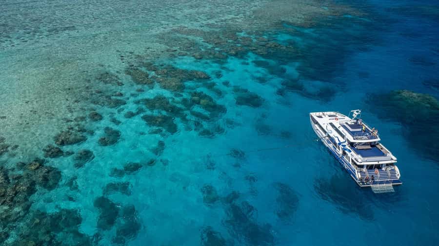 Cairns: Great Barrier Reef Full-Day Tour - Getting on the AquaQuest: The 8:00AM Check-In That Keeps It Smooth
