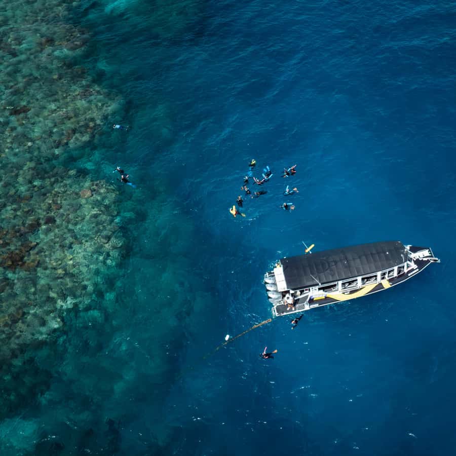 Cairns: Great Barrier Reef Half-Day Snorkelling Tour - Key things that make this snorkel tour worth your time