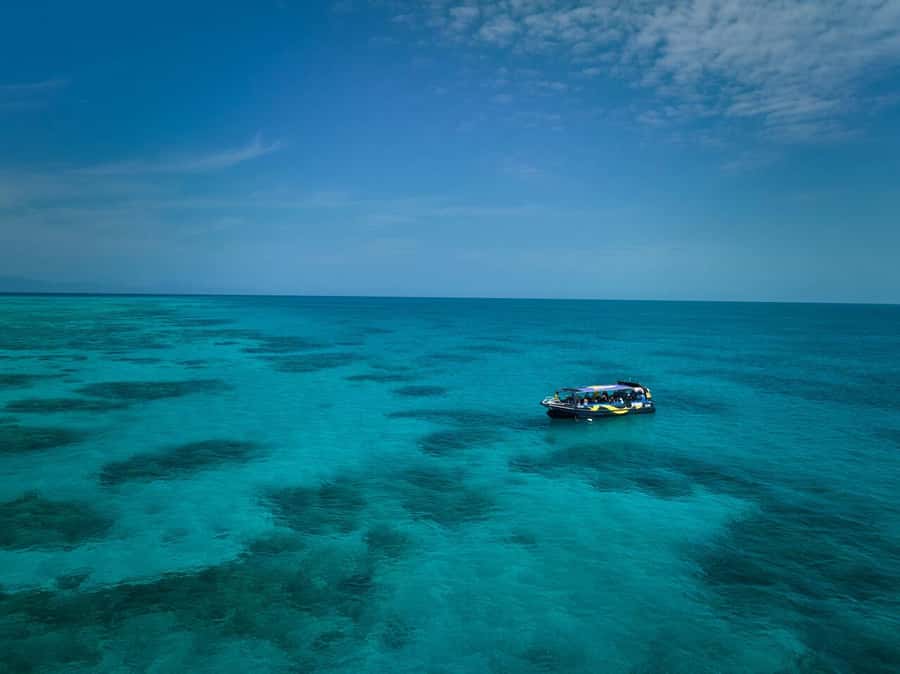 Cairns: Great Barrier Reef Half-Day Snorkelling Tour - Why this half-day Reef snorkel from Cairns fits so well