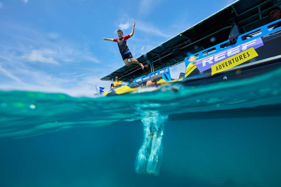 Cairns: Great Barrier Reef Half-Day Snorkelling Tour - The fast cruise out: what it feels like and how it affects your day