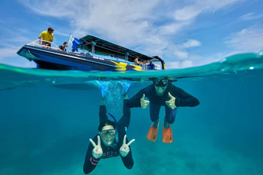 Cairns: Great Barrier Reef Half-Day Snorkelling Tour - One 1.5-hour snorkel session at a reef mooring