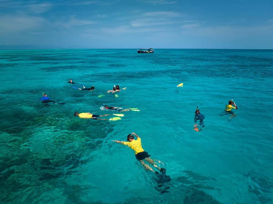 Cairns: Great Barrier Reef Half-Day Snorkelling Tour - Snacks, drinks, and the photo side of the experience