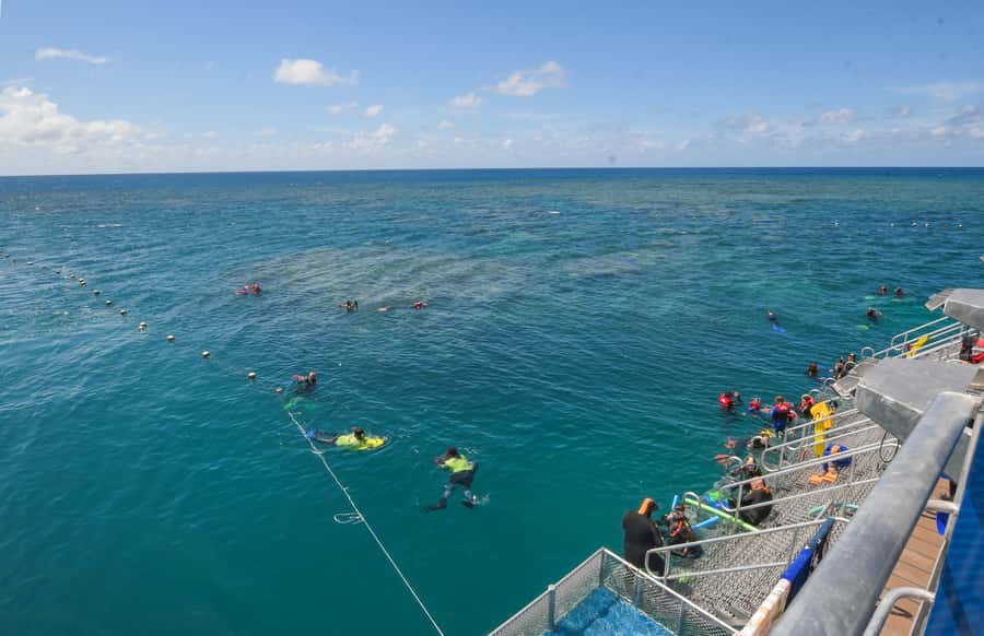 Cairns: Great Barrier Reef Pontoon with Water Activities - Should you book Reef Magic from Cairns?