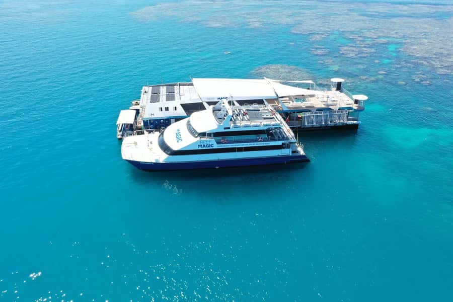 Cairns: Great Barrier Reef Pontoon with Water Activities - The newest reef platform: practical comfort on a long reef day