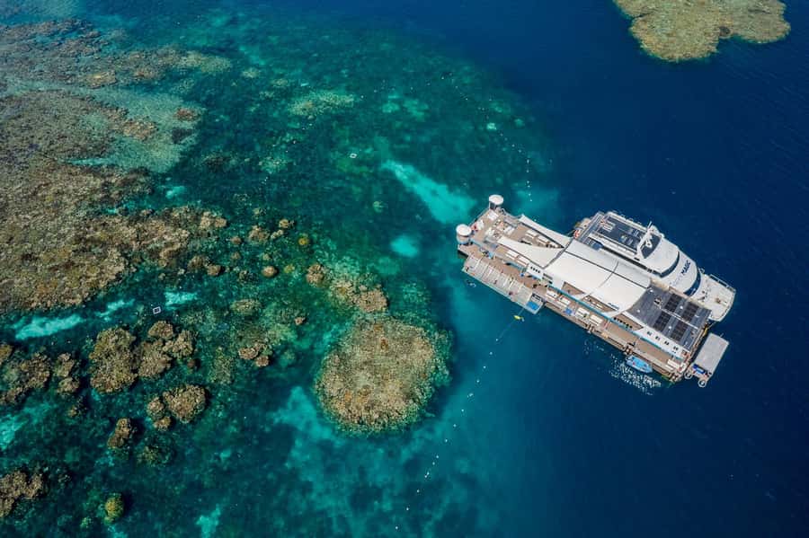 Cairns: Great Barrier Reef Pontoon with Water Activities - Marine biologists in action: fish feeding and fish ID with Jake